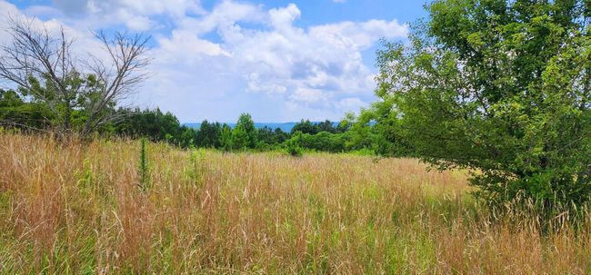 5199 Burkett Chapel Rd, Home with 4 bedrooms, 2 bathrooms and null parking in Whitwell TN | Image 5