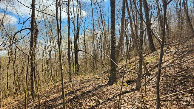 TRACT-2-PIKE-LAKE-GETAWA - 0 Pike Lake Rd, Home with 0 bedrooms, 0 bathrooms and null parking in Bainbridge OH | Image 36