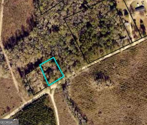 COLESBURG-TOMPK V/L N/S Colesburg-Tompkins Rd, Woodbine, GA, 31569 | Card Image