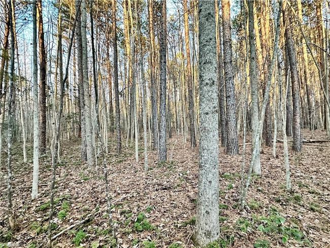 00 Farmstead Rd, Home with 0 bedrooms, 0 bathrooms and null parking in Seagrove NC | Image 18
