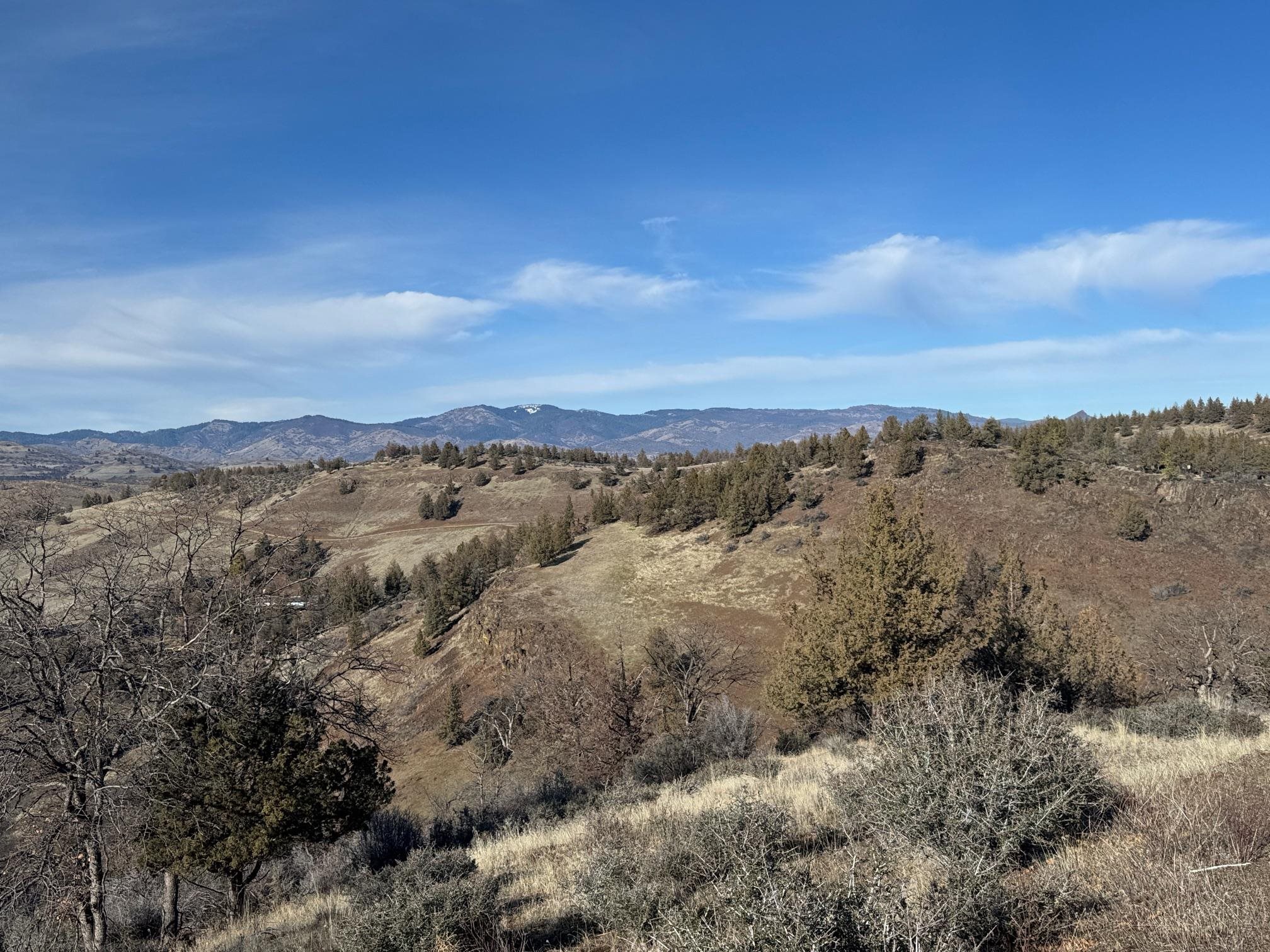 Land in Montague 3