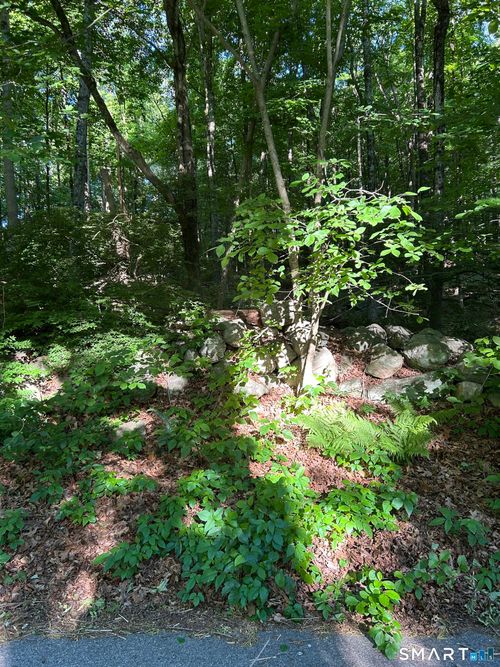 5 Silvermine Woods, Wilton, CT, 06897-4234 | Card Image