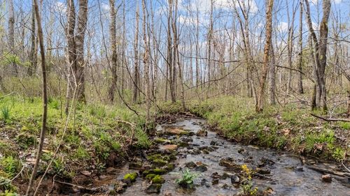 6455 Highway 48 N, Cumberland Furnace, TN, 37051-4762 | Card Image