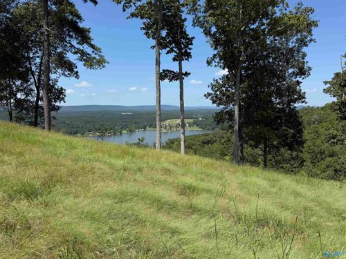 292-Lot 292 County Road 1022, Cedar Bluff, AL, 35959 | Card Image