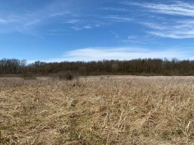 4500 S 42 Nd St, Home with 0 bedrooms, 0 bathrooms and null parking in Climax MI | Image 8