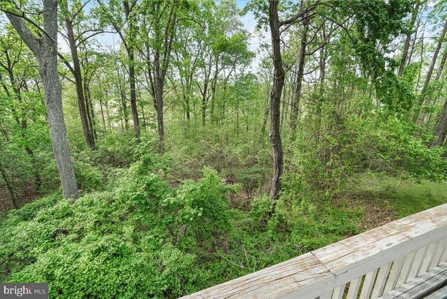 7746 - 7746 Emerson Burrier Rd, House other with 5 bedrooms, 4 bathrooms and null parking in Mount Airy MD | Image 61