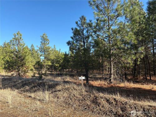 lot-1-35470 Prairie Ln N, Creston, WA, 99117 | Card Image