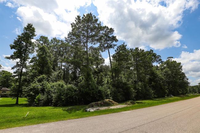 27414 Shady Hills Landing Ln, Home with 0 bedrooms, 0 bathrooms and null parking in Spring TX | Image 9