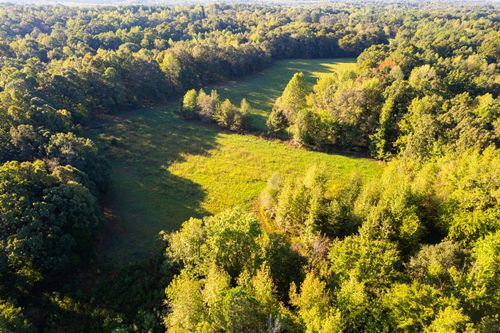 424 Tennessee Highway, Cedar Grove, TN, 38321 | Card Image