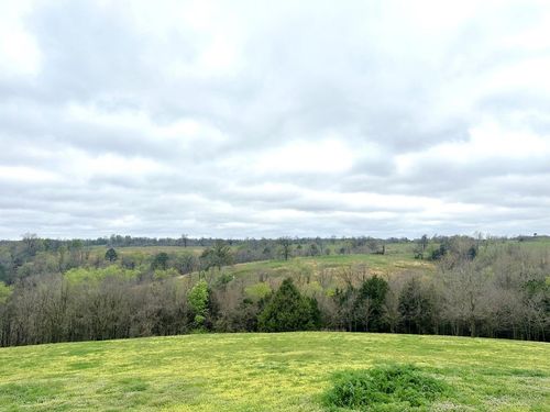 000 Hog Ridge Court, Noel, MO, 64854 | Card Image