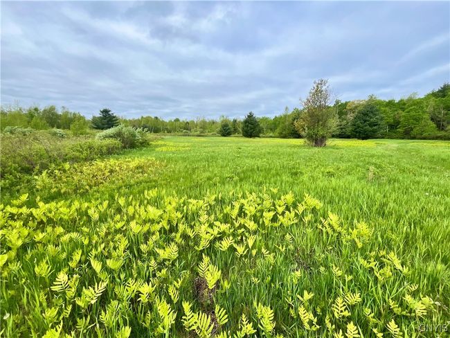 37224 County Route 4, Home with 0 bedrooms, 0 bathrooms and null parking in Clayton NY | Image 12