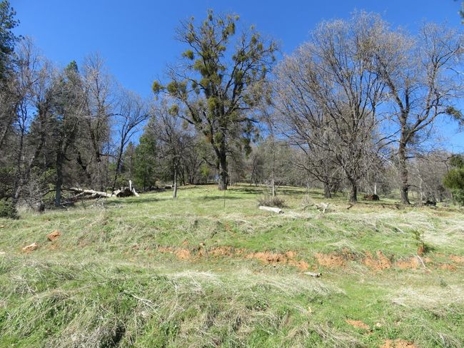 4196 Bald Mountain Rd, Home with 0 bedrooms, 0 bathrooms and null parking in West Point CA | Image 11