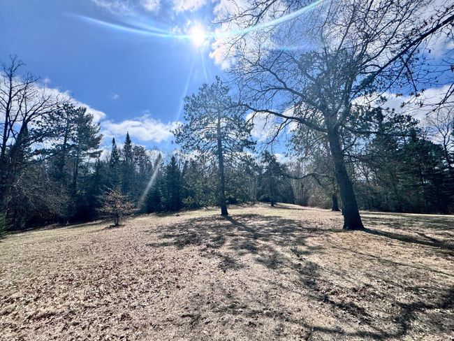Plenty of room for a garden | Image 27