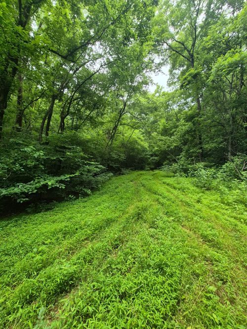0 Williams Rd, Cornersville, TN, 37047 | Card Image