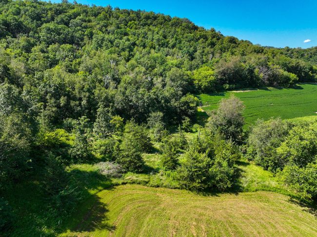 DJI_0377.jpg | Image 6