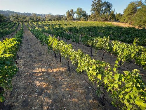 4683 Morningstar, Mariposa, CA, 95338 | Card Image