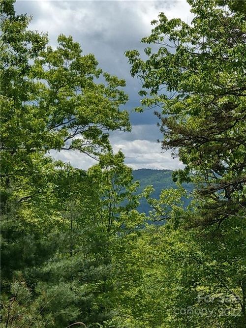 e1-000 Dogwood Cir, Penrose, NC, 28766 | Card Image