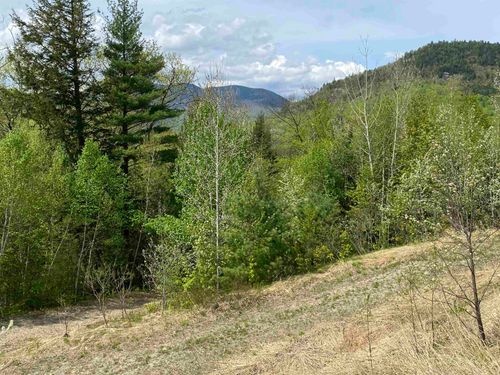 125 Parker Ridge Rd, Harts Location, NH, 03812-4111 | Card Image