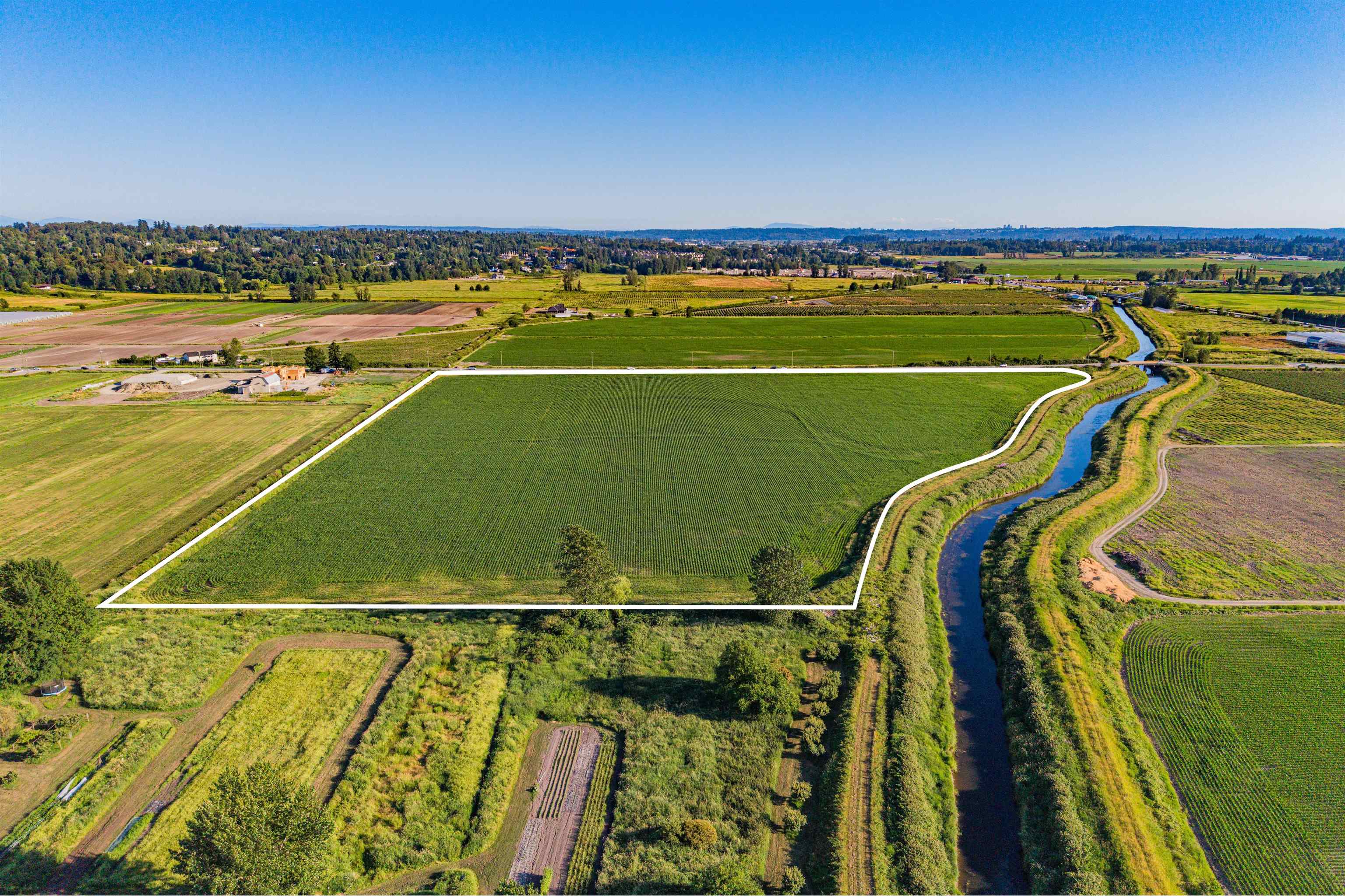 Land in Surrey 5