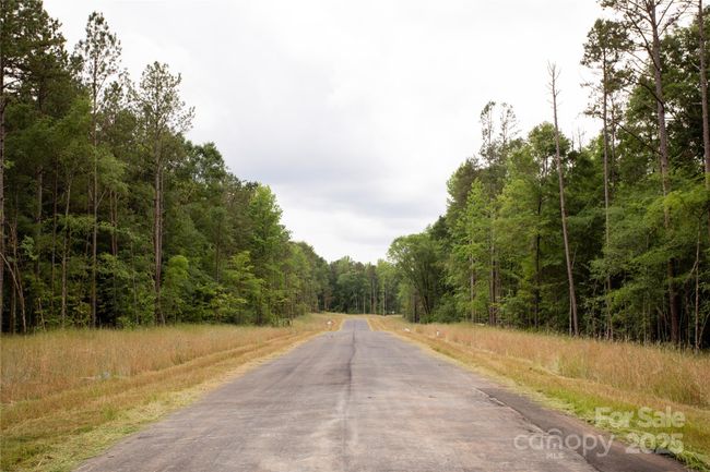 Lot 12 American Bittern Way, Home with 0 bedrooms, 0 bathrooms and null parking in Clover SC | Image 15