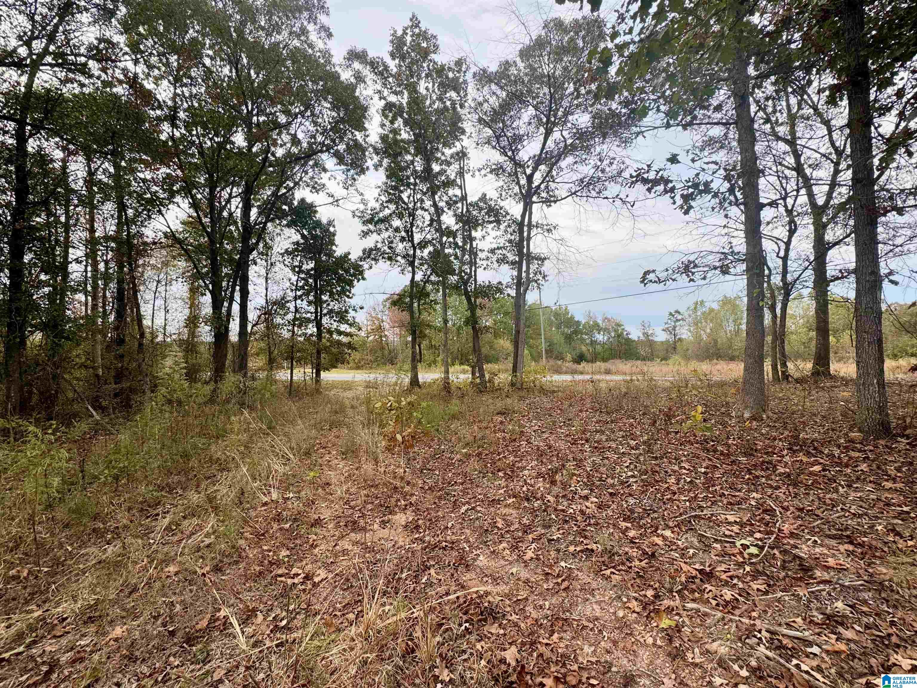 Land in NEWELL 4