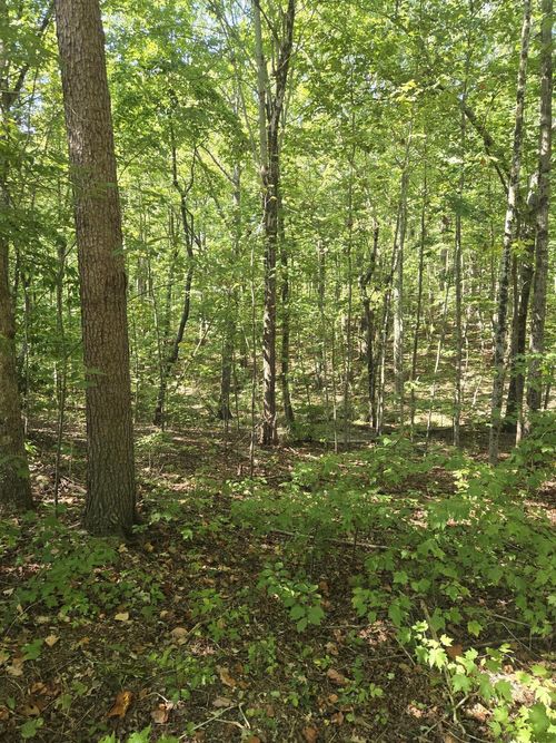 0 Raven Cliff Rd, Graysville, TN, 37338 | Card Image