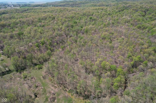 bird's eye view with a wooded view | Image 17