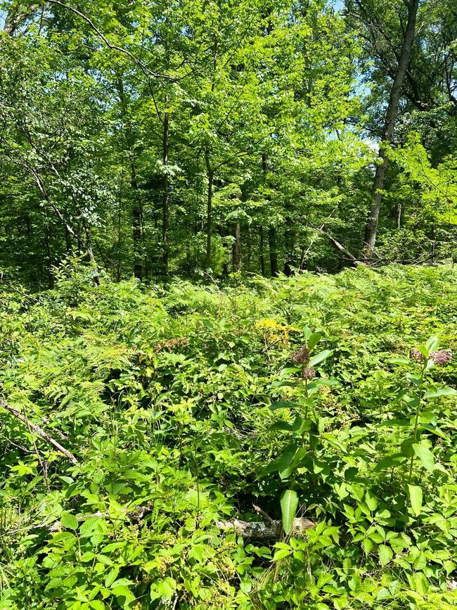 Lt0 Airport Rd, Home with 0 bedrooms, 0 bathrooms and null parking in Shawano WI | Image 4