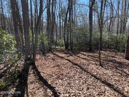 0 Cliff Park Rd, Monterey, TN, 38574 | Card Image
