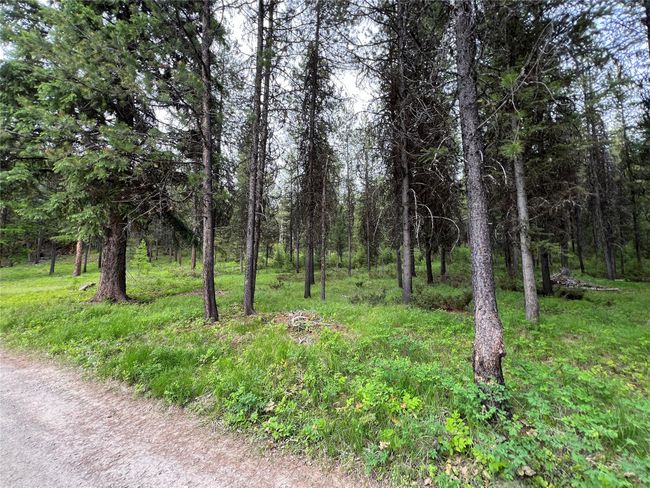park-like setting all over this acreage | Image 97