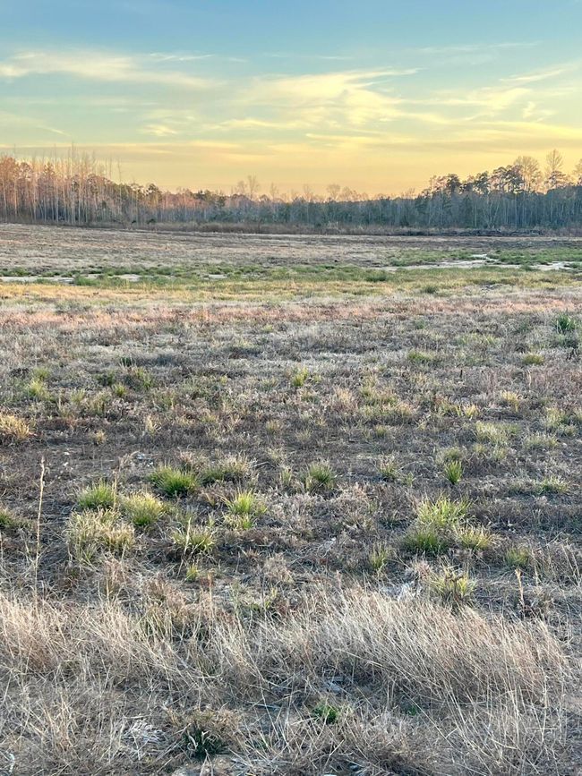 Photo 6 | Image 4
