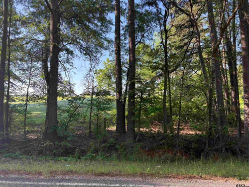 LOT 9 5+ ACRES Fm 15, Troup, TX, 75789 | Card Image