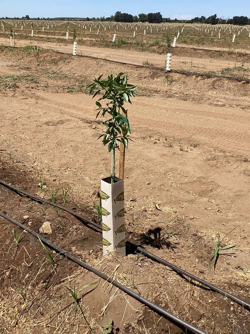 14255 Prouty Rd, Herald, CA, 95638 | Card Image