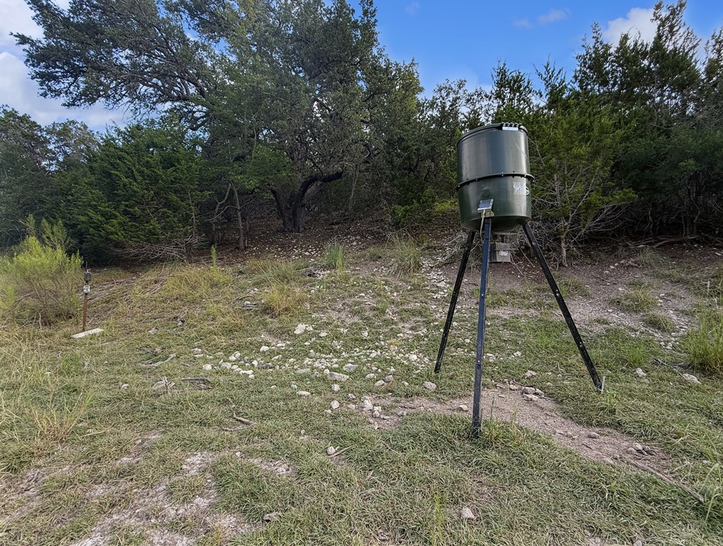 Farm in Kerrville 4