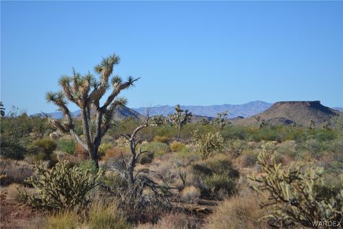 Lots 9 & 10 Martin Drive, Yucca, AZ, 86438 | Card Image