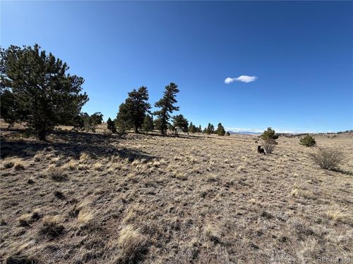 616 Guipago Trl, Hartsel, CO, 80449 | Card Image