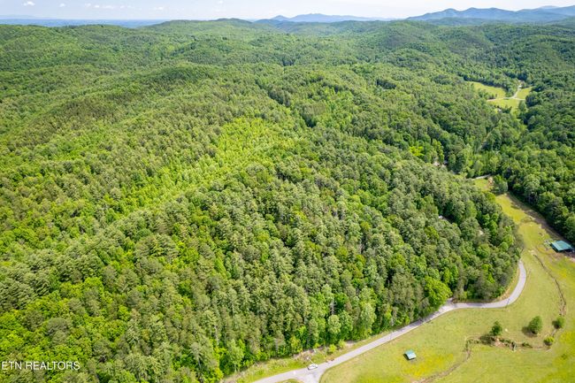 000 Cane Creek Mountain Rd, Home with 0 bedrooms, 0 bathrooms and null parking in Tellico Plains TN | Image 7