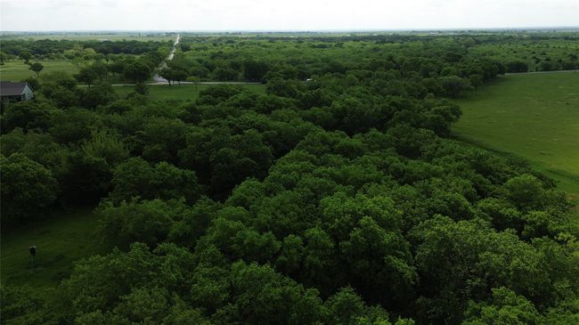 Bird's eye view featuring a view of trees and a rural view | Image 6