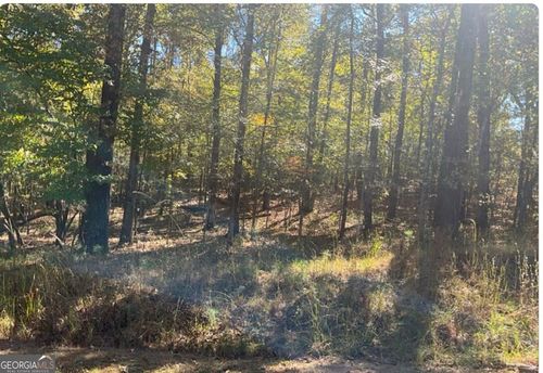 LOT 246 Sun Flower Ct, Sparta, GA, 31087 | Card Image