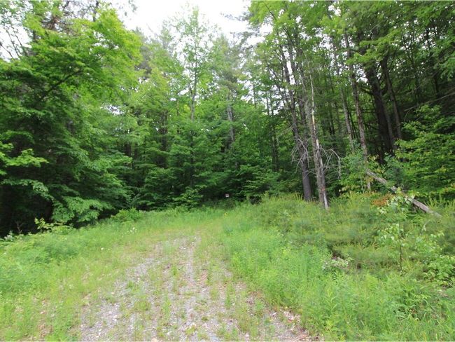 Lot 4 Piney Grove Ln, Home with 0 bedrooms, 0 bathrooms and null parking in Underhill VT | Image 10