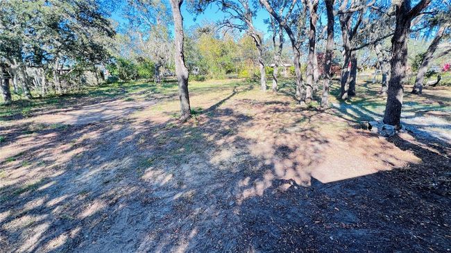 Backyard | Image 18