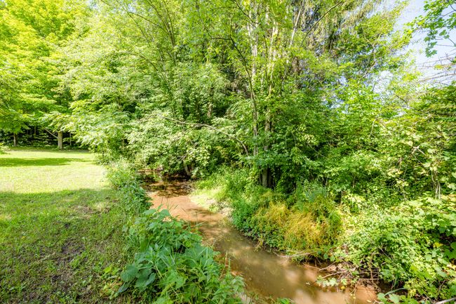 Paw Paw Lk-126 | Image 27