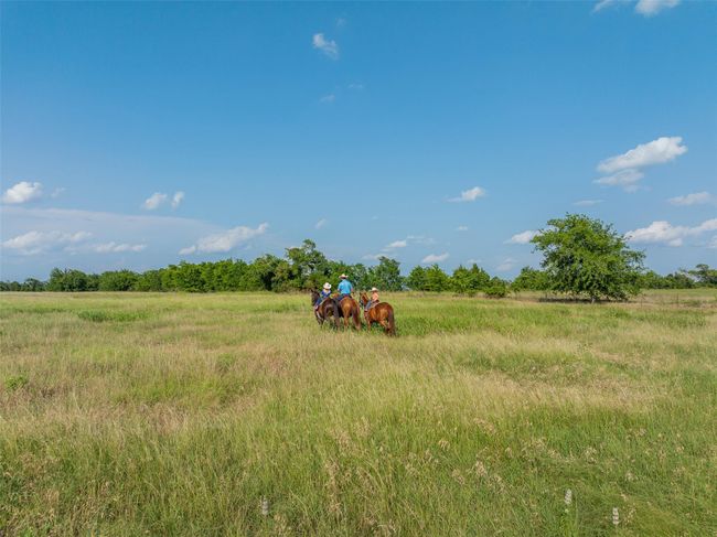 317 Memory Ln, Home with 0 bedrooms, 0 bathrooms and null parking in Burton TX | Image 12