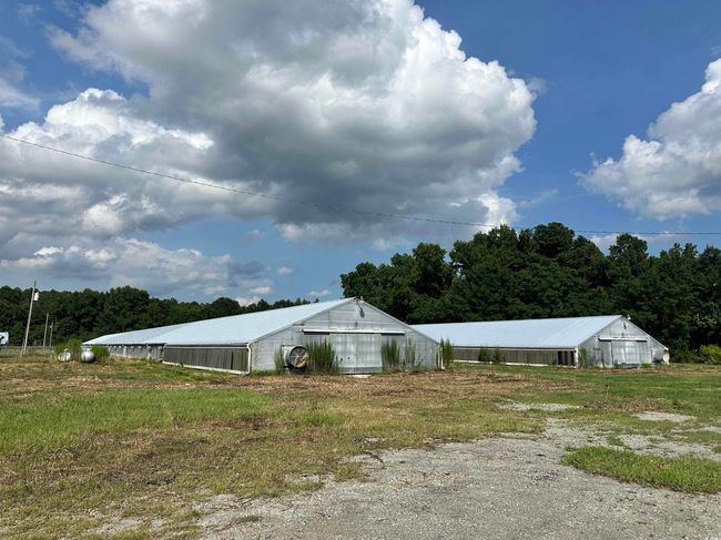View of yard | Image 30