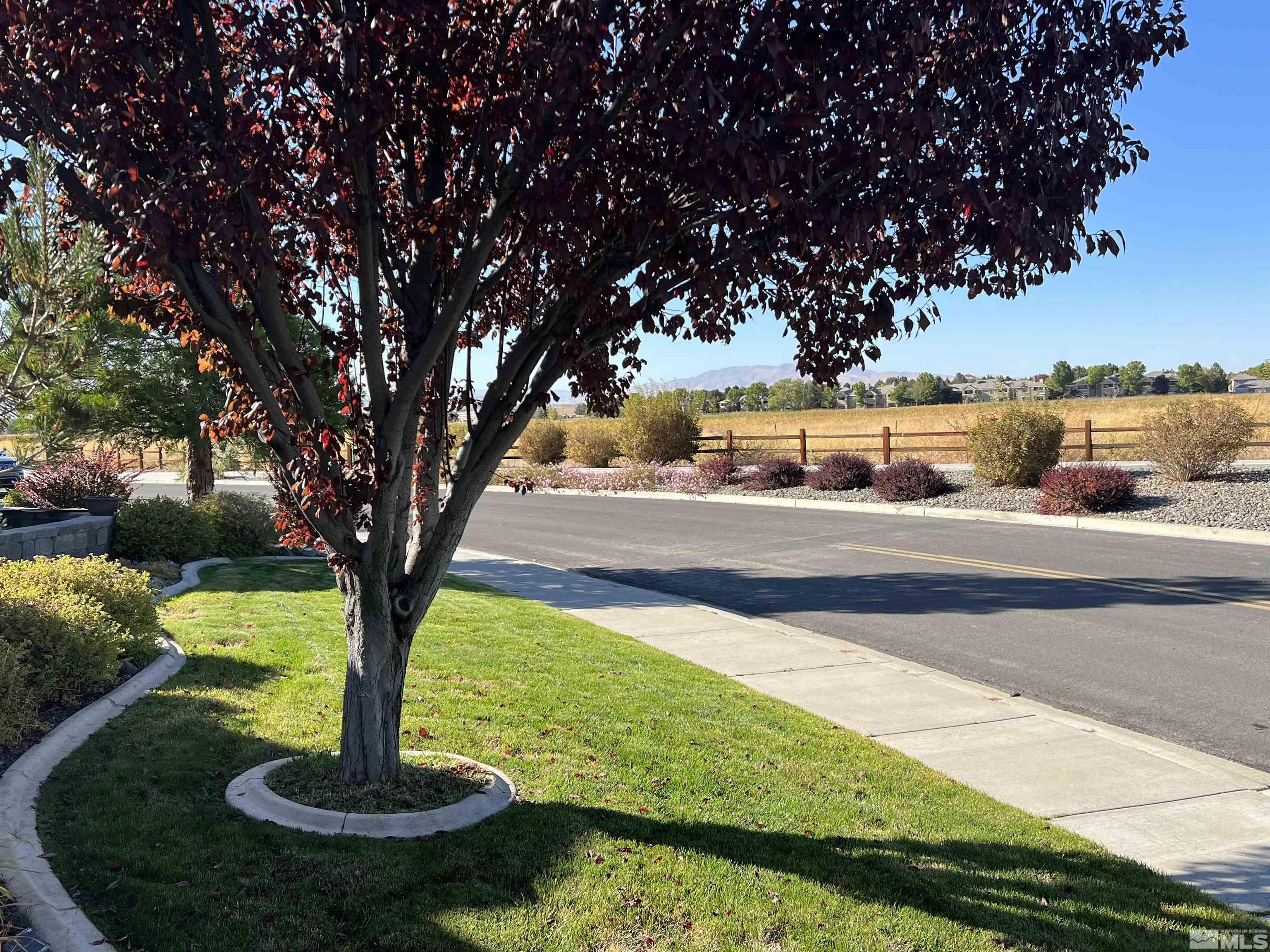 Silver Cliff Way, Reno, NV 89521