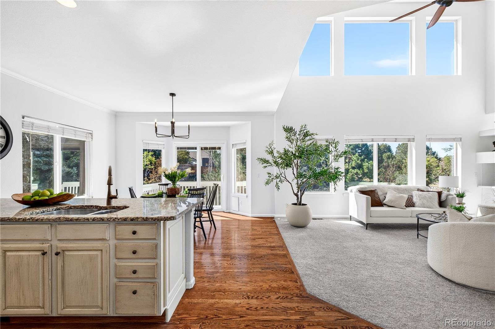 Residential in Castle Rock 5