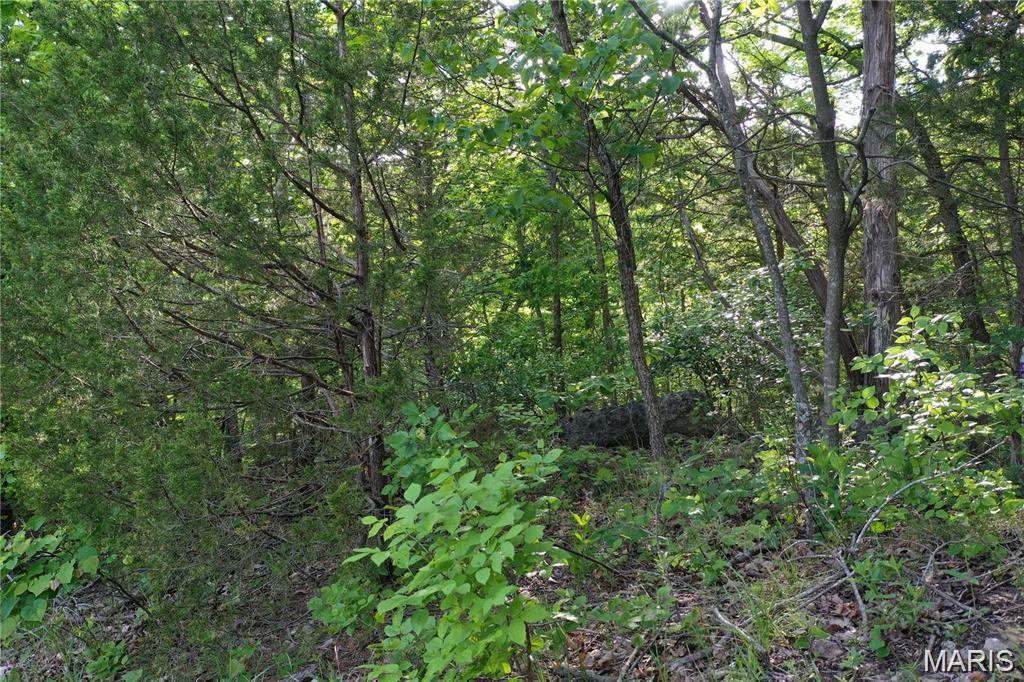 Land in Cedar Hill 4