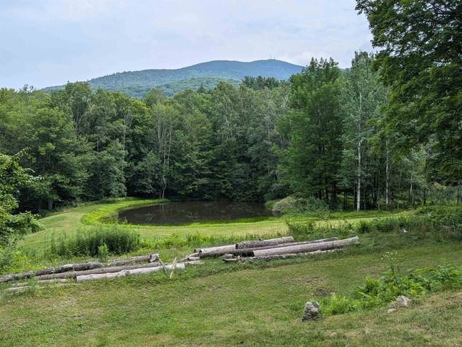 4393 Vt Route 131, House other with 2 bedrooms, 2 bathrooms and null parking in Perkinsville VT | Image 23