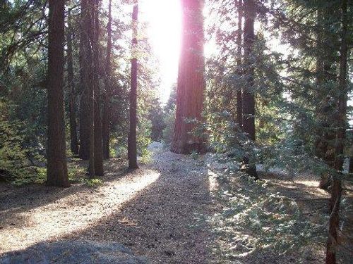 54569 Manzanita Dr, Springville, CA, 93265-9142 | Card Image