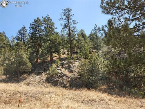 1314 Arnold Drive, Texas Creek, CO, 81223 | Card Image